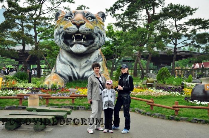 Seoul Zoo.061