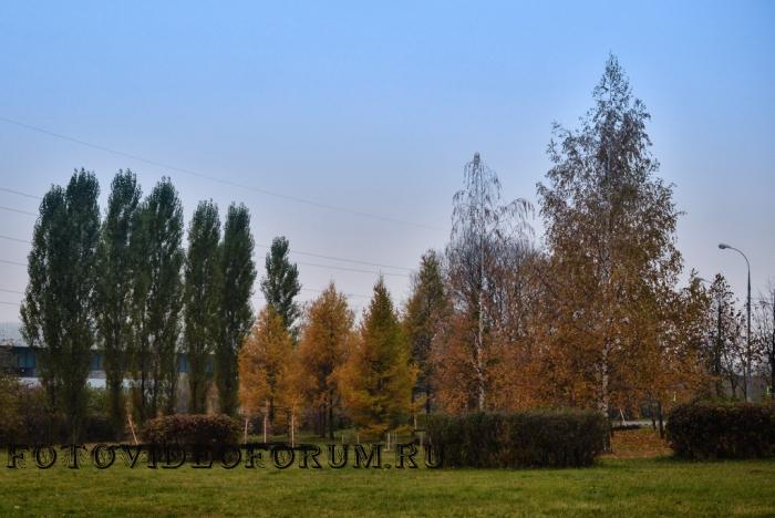 ...осень в городе...