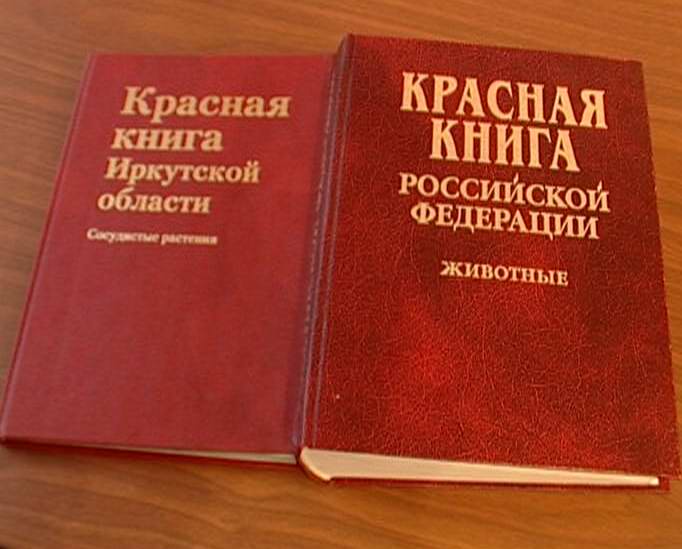 Животное занесено в Красную Книгу - такое определение сразу говорит