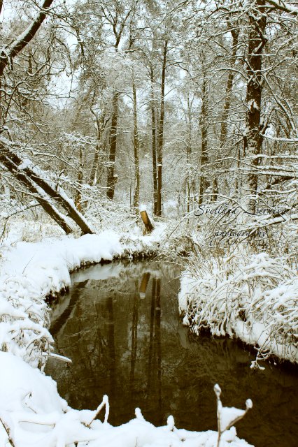 Эх, зимушка, зима. Зима снежная была  2010-11 г.г. - 63f0345010