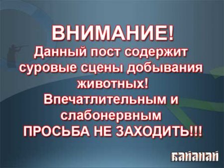 ФОТО И ВИДЕОМАТЕРИАЛЫ ИЗ МАФИИ № 01 - 1312966934_attention2[1]