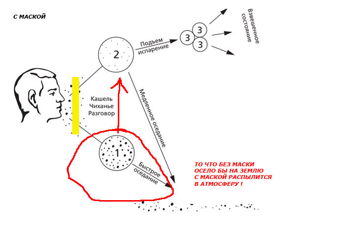 Маска распространяет заразу больше, чем защищает - d9c09ae9d9