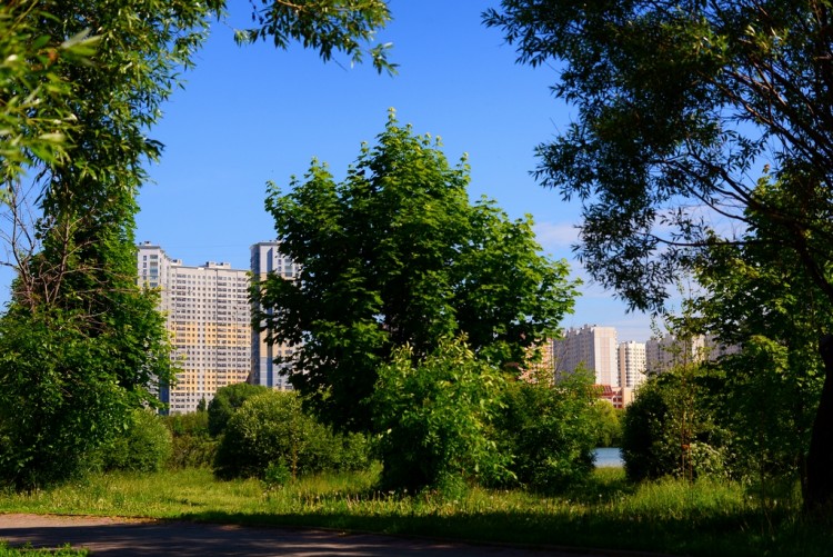 Пейзажи городов и сел. Здания обязательны № 03 - 73479