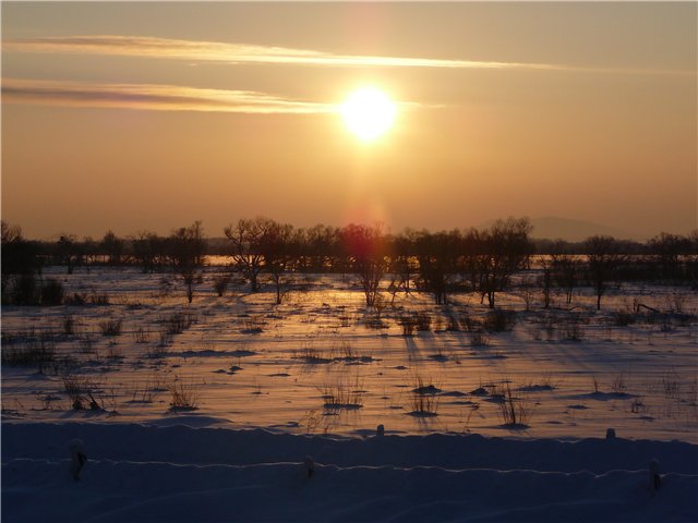 Приморский край заснеженный 2009-10 года. Видео - 8002de894061