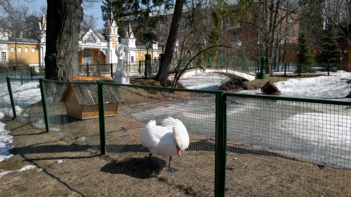 Репортажи. Давайте собирать городские пейзажи тут - 10091