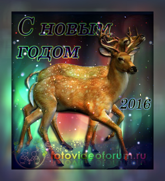 С НОВЫМ 2016 ГОДОМ, FOTOVIDEOFORUM.RU! - 249