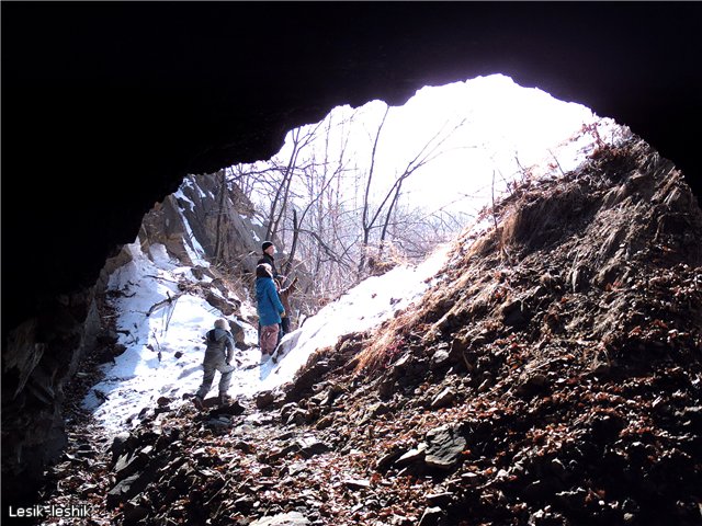 В дремучем лесу фотографы водятся - 2c37ef6e75