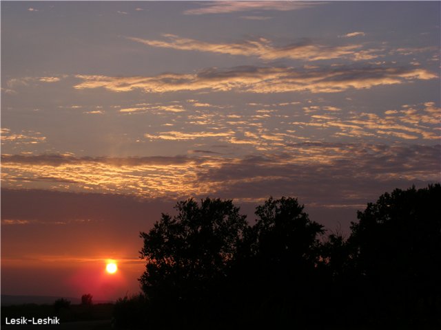 В дремучем лесу фотографы водятся - 58c2c28776