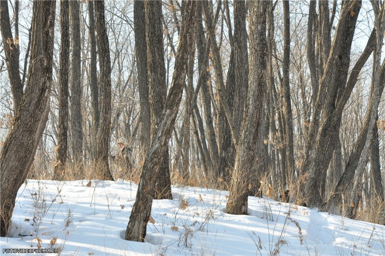 Вот и зима. Вот и зима. Это надолго? 2011 - 12 г.г. - 42720