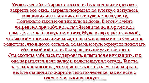 Юмор, анеки и все смешное в картинках № 10 - 97989159_6