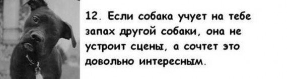 Юмор, анеки и все смешное в картинках № 11 - 084271dc266e75331193688764eb268f