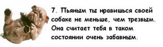 Юмор, анеки и все смешное в картинках № 11 - a15a5e256a400bc545501e7a0e31d74d