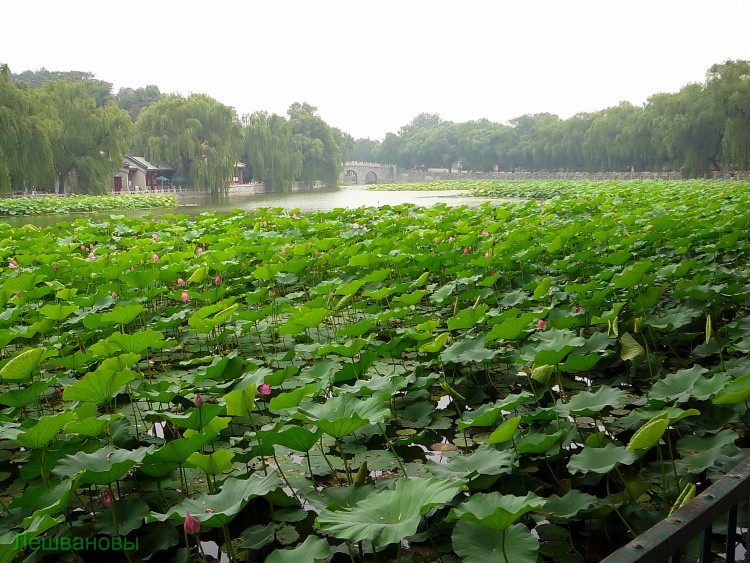 2007 год Китай Пекин Beihai Park Парк Бэй Хей - 22  2007.06.22 Парк Бэй Хей 005