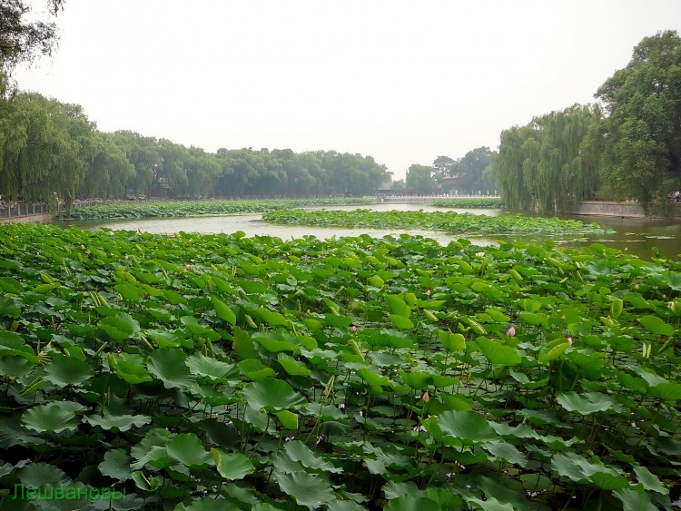 2007 год Китай Пекин Beihai Park Парк Бэй Хей - 22  2007.06.22 Парк Бэй Хей 012