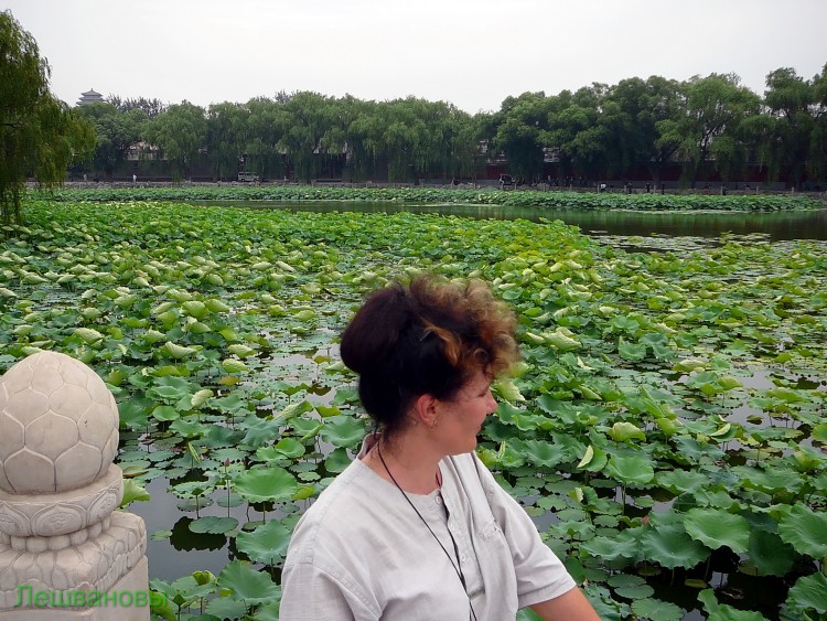 2007 год Китай Пекин Beihai Park Парк Бэй Хей - 22  2007.06.22 Парк Бэй Хей 179