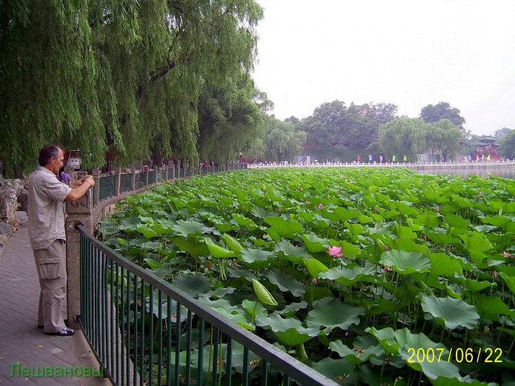 2007 год Китай Пекин Beihai Park Парк Бэй Хей - 22  2007.06.22 Парк Бэй Хей 195