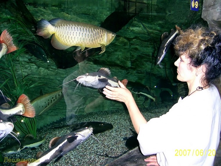 2007 год Китай Пекин Beijing Zoo Пекинский зоопарк - 16 2007.06.20 Океанариум 030.JPG