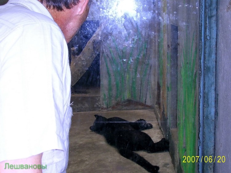 2007 год Китай Пекин Beijing Zoo Пекинский зоопарк - 2007.06.20 Зоопарк 016.JPG