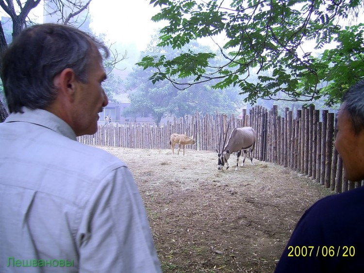 2007 год Китай Пекин Beijing Zoo Пекинский зоопарк - 2007.06.20 Зоопарк 062.JPG