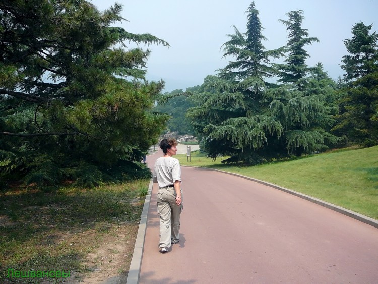 2007 год Китай Пекин Botanical Garden Ботанический сад - 18  2007.06.21 Ботанический сад 028.JPG