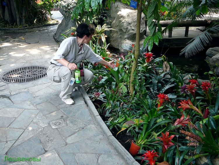 2007 год Китай Пекин Botanical Garden Ботанический сад - 18  2007.06.21 Ботанический сад 135.JPG