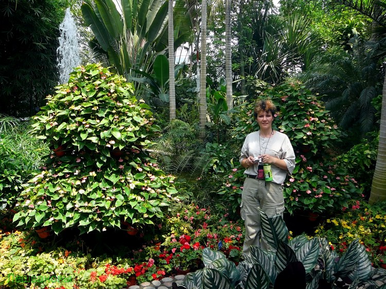 2007 год Китай Пекин Botanical Garden Ботанический сад - 18  2007.06.21 Ботанический сад 145.JPG