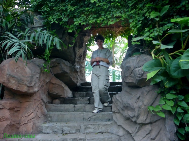 2007 год Китай Пекин Botanical Garden Ботанический сад - 18  2007.06.21 Ботанический сад 159.JPG