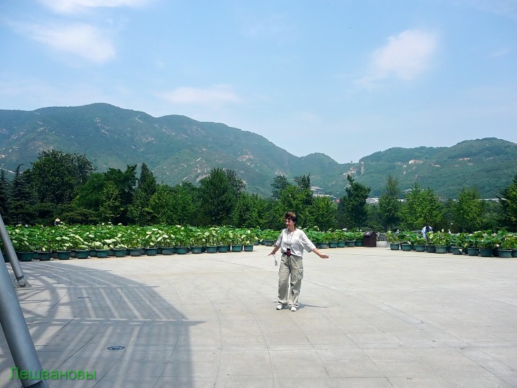 2007 год Китай Пекин Botanical Garden Ботанический сад - 18  2007.06.21 Ботанический сад 175.JPG