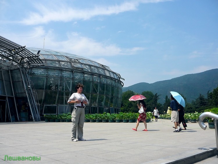 2007 год Китай Пекин Botanical Garden Ботанический сад - 18  2007.06.21 Ботанический сад 177.JPG