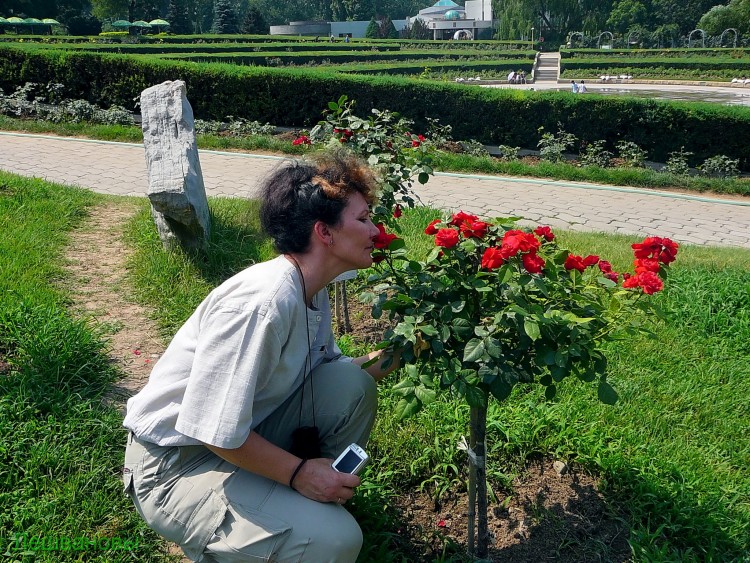 2007 год Китай Пекин Botanical Garden Ботанический сад - 18  2007.06.21 Ботанический сад 190.JPG