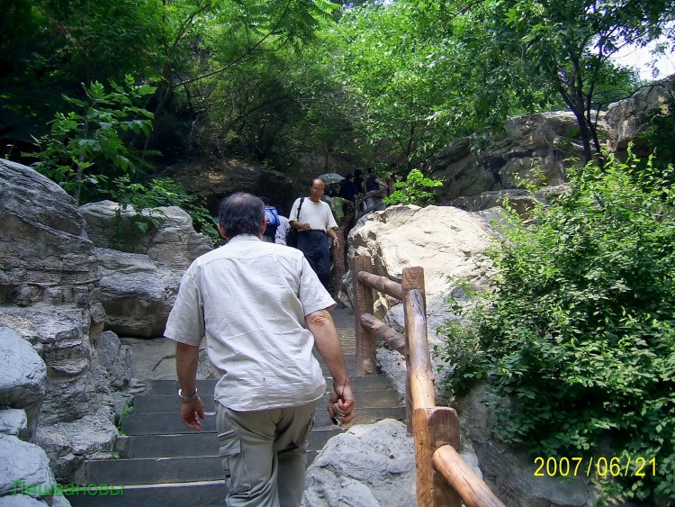 2007 год Китай Пекин Botanical Garden Ботанический сад - 18  2007.06.21 Ботанический сад 249.JPG