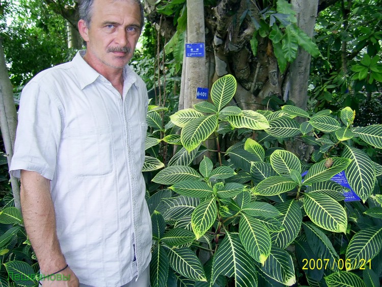 2007 год Китай Пекин Botanical Garden Ботанический сад - 18  2007.06.21 Ботанический сад 269.JPG