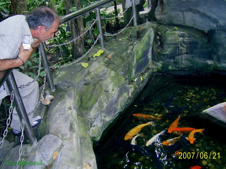 2007 год Китай Пекин Botanical Garden Ботанический сад - 18  2007.06.21 Ботанический сад 271.JPG