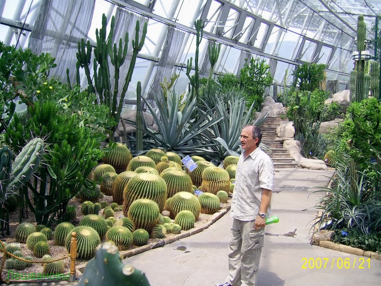 2007 год Китай Пекин Botanical Garden Ботанический сад - 18  2007.06.21 Ботанический сад 278.JPG