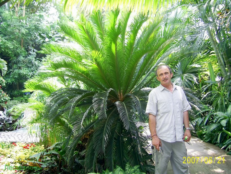 2007 год Китай Пекин Botanical Garden Ботанический сад - 18  2007.06.21 Ботанический сад 296.JPG