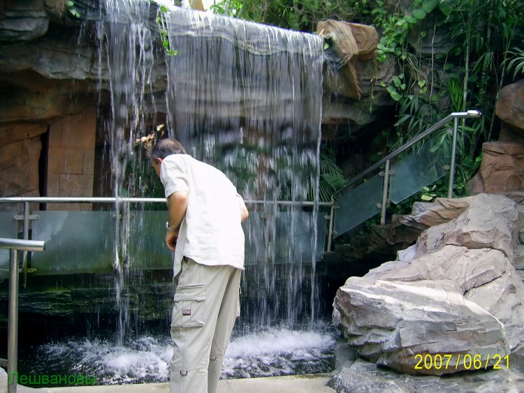 2007 год Китай Пекин Botanical Garden Ботанический сад - 18  2007.06.21 Ботанический сад 301.JPG