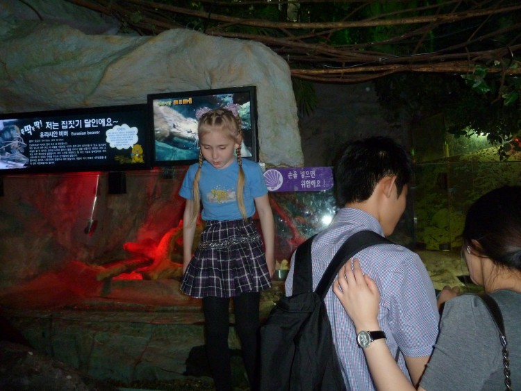 2011 год № 04 Южная Корея Сеул Coex Aquarium Аквариум - 05 11.05.29 Coex Aquarium Аквариум 082.JPG