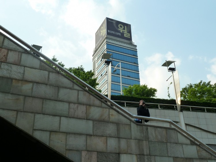 2011 год № 04 Южная Корея Сеул Coex Aquarium Аквариум - 05 11.05.29 Coex Aquarium Аквариум 185.JPG