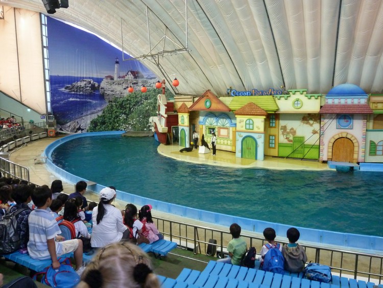 2011 год № 11 Южная Корея Сеул Seoul Zoo Цирк на воде - 23 11.05.31 Seoul Zoo Цирк на воде 013.JPG