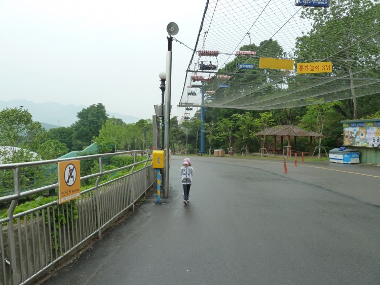 2011 год № 12 Южная Корея Сеул Seoul Zoo Сам ЗООпарк № 01 - 20 11.05.31 Seoul Zoo Зоопарк ЧАСТЬ 1 079.JPG