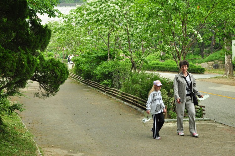 2011 год № 12 Южная Корея Сеул Seoul Zoo Сам ЗООпарк № 01 - 22 11.05.31 Seoul Zoo Зоопарк ЧАСТЬ 2 019.JPG