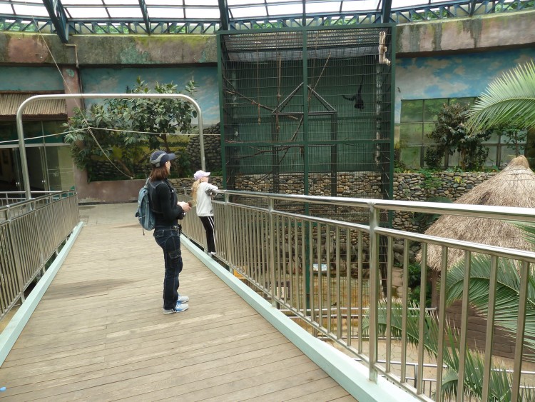 2011 год № 12 Южная Корея Сеул Seoul Zoo Сам ЗООпарк № 01 - 22 11.05.31 Seoul Zoo Зоопарк ЧАСТЬ 2 042.JPG