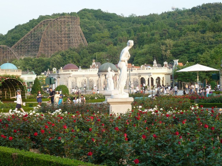 2011 год № 30 Южная Корея Сеул Everland Samsung Rose Garden - 56 11.06.03 Everland Парк Rose Garden 015.JPG