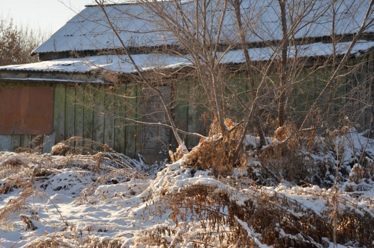 240 брошенных домов в поселке Кировский Приморья - DSC_6015.JPG