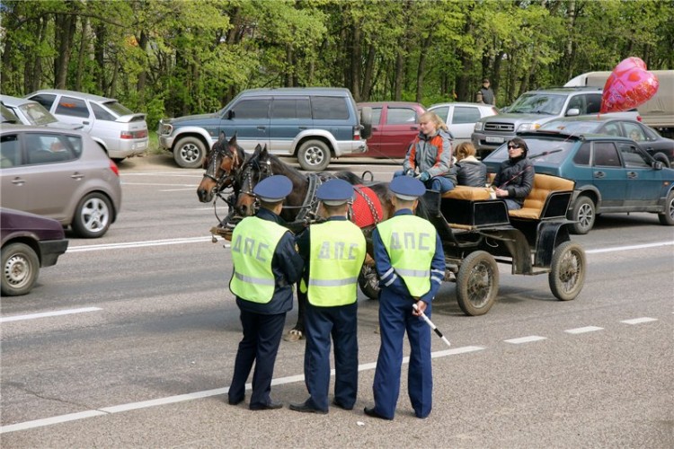 А может я единственный настоящий папарацци? - d3a1ee827a