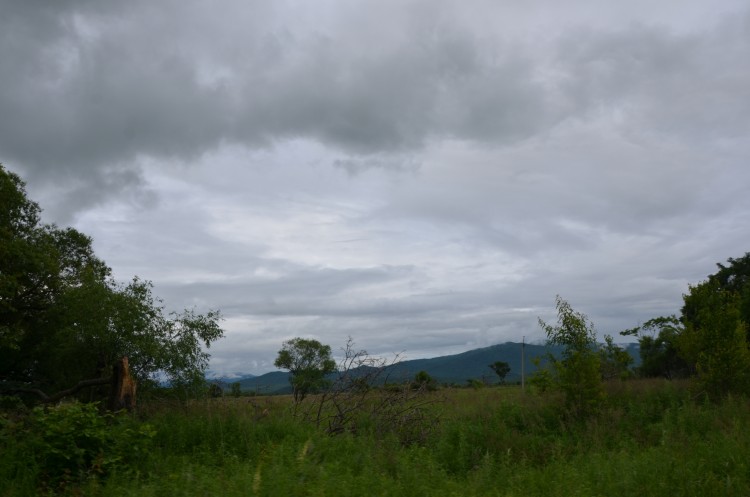 Архангеловка село Кировского района Приморского края - DSC_9729.JPG