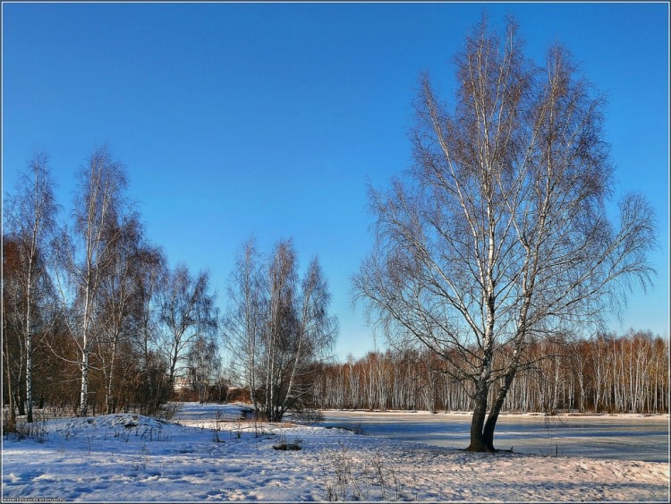 Дыхание этой самой лучшей нашей весны - a639424a53