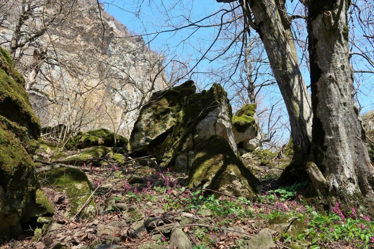 Эти причудливые и манящие скалы Кавказа - !!!IMG_2243