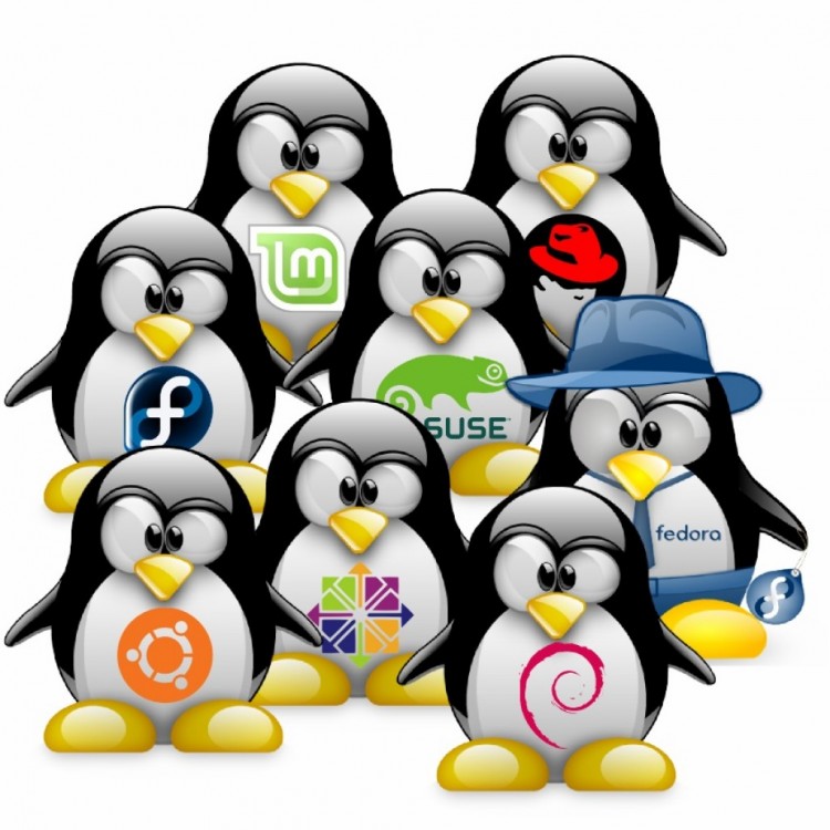 Linux. А что это такое? С чем его едят и зачем он? - all