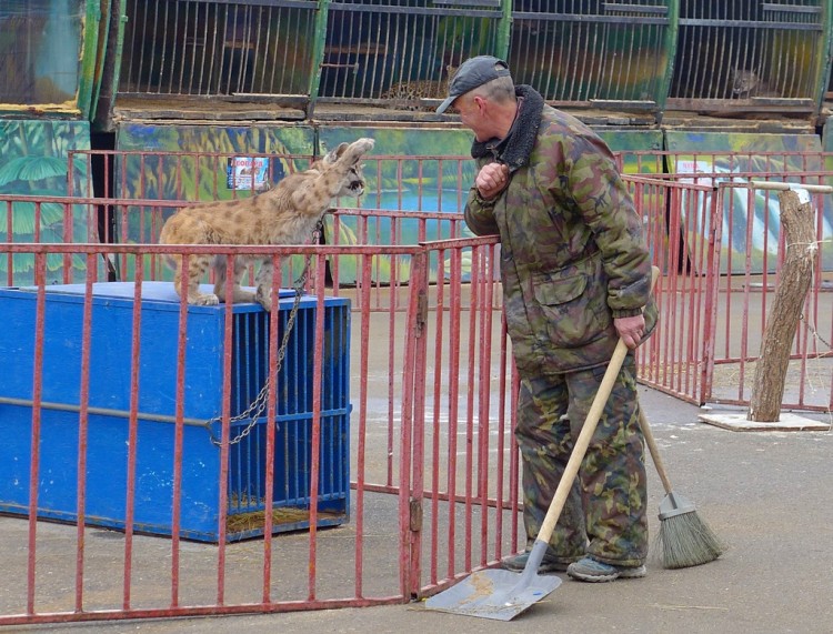 Московский передвижной зоопарк в г. Ессентуки - 20